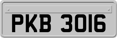 PKB3016
