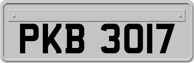 PKB3017