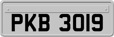 PKB3019
