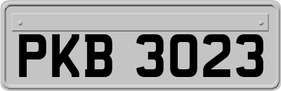 PKB3023