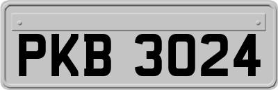 PKB3024