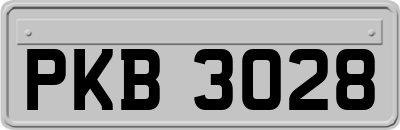 PKB3028