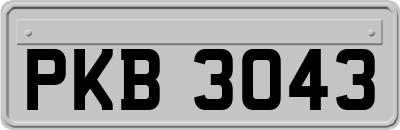 PKB3043