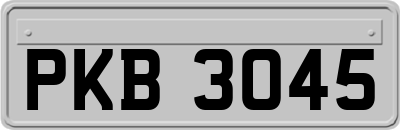 PKB3045