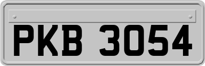 PKB3054