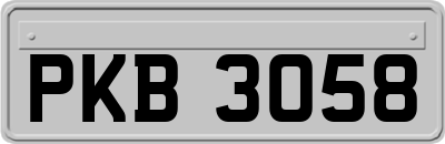 PKB3058