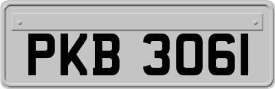 PKB3061