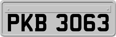 PKB3063