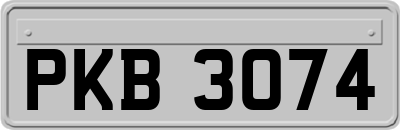 PKB3074