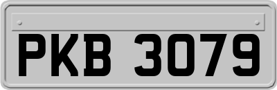 PKB3079
