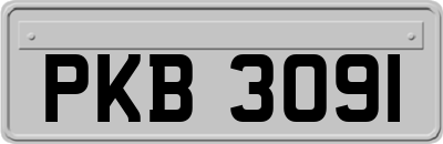 PKB3091