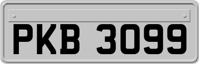 PKB3099