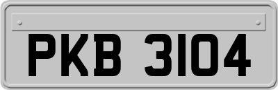 PKB3104