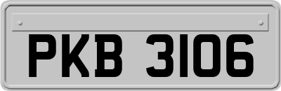 PKB3106