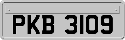 PKB3109