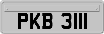 PKB3111