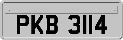 PKB3114
