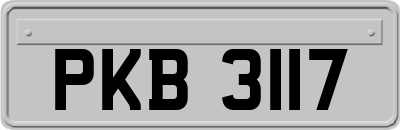 PKB3117