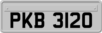 PKB3120
