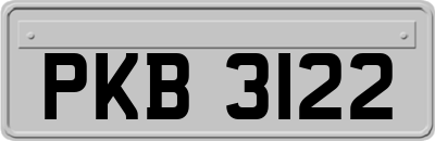 PKB3122