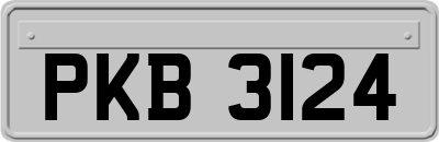 PKB3124