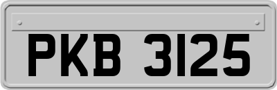 PKB3125