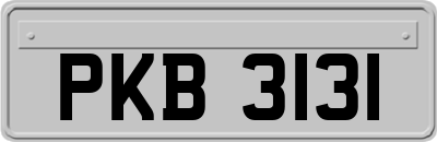 PKB3131
