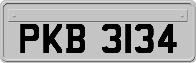 PKB3134