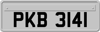 PKB3141