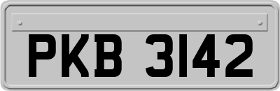 PKB3142