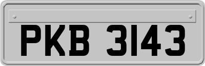 PKB3143