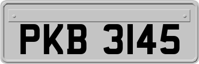 PKB3145