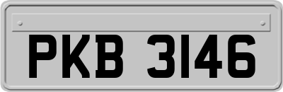 PKB3146