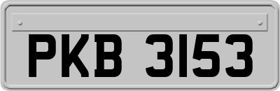 PKB3153
