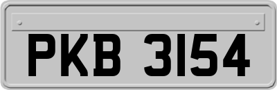 PKB3154