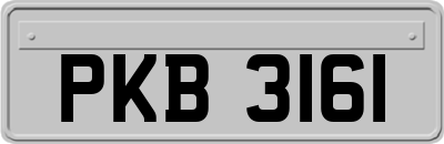 PKB3161