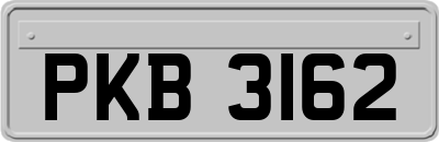 PKB3162
