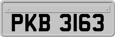 PKB3163