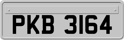 PKB3164