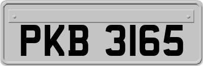 PKB3165