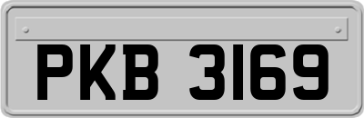PKB3169