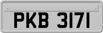 PKB3171