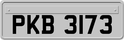 PKB3173