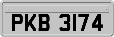 PKB3174