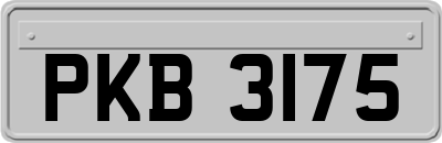 PKB3175