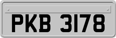 PKB3178