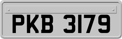PKB3179