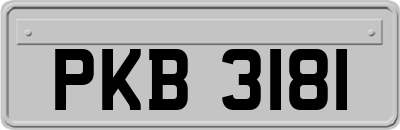 PKB3181