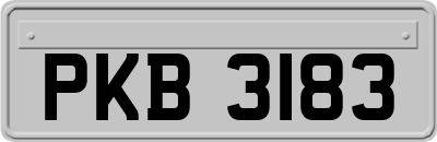 PKB3183