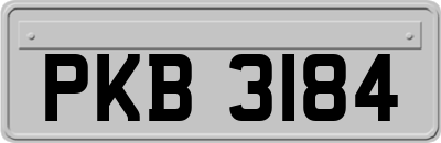 PKB3184